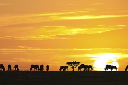 Tajni tragovi “crnih” milijardi: Kako je nastala afrička Kermas&nbsp;shema