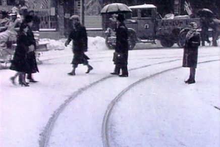 Darija Žilić: SNIJEG