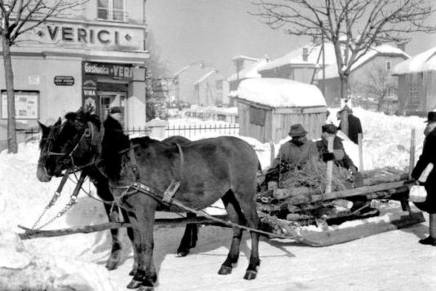 Božica Jelušić: REQUIEM NAKON&nbsp;ZIME