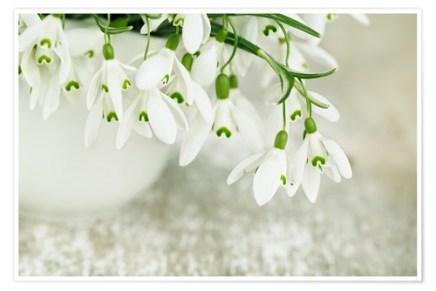 Abdulah Sidran: BAŠESKIJA