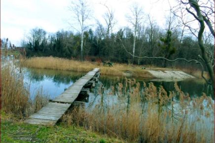 Božica Jelušić: ZBOGOM ŠUMI I&nbsp;JEZERU