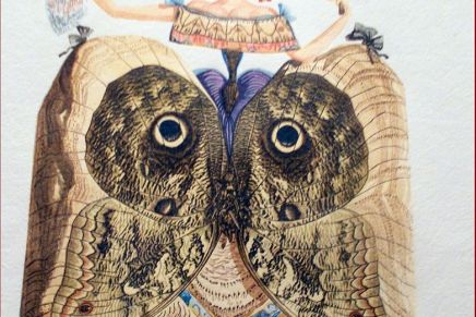 Božica Jelušić: SKASKA O KVARITON&nbsp;BRANŠI