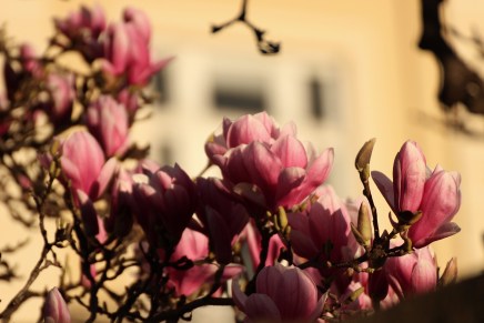 Ivana Šojat: Mrtvi trebaju prestati biti valuta za političke&nbsp;poene