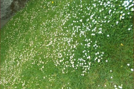 Božica Jelušić: DAJTE MI LJEPŠU&nbsp;NEDJELJU