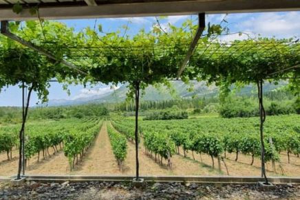 Nikola Devčić Mišo: KONTINURIANI&nbsp;DISKONTINUITET