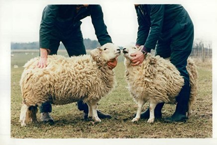 Marijan Grakalić: Meketanje na Filozofskom fakultetu&nbsp;(Jednočinka)