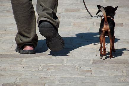 Stefan Simić: Umori se&nbsp;čovek