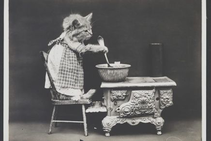 Giga Gračan: Zapisi iz karantene s&nbsp;mačkom