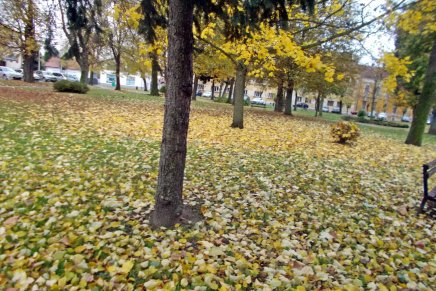 Božica Jelušić: SJEVERNJAK