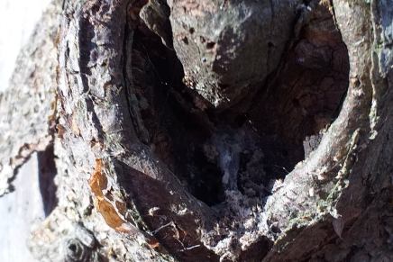 Zdenka Maltar: V&nbsp;hosti