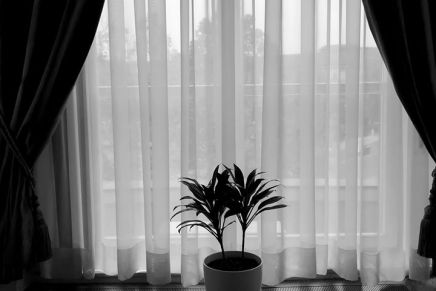 Božica Jelušić: O UMIJEĆU GLEDANJA KROZ&nbsp;PROZOR