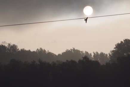 Božica Jelušić: NOĆ NAD&nbsp;ZEMLJOM