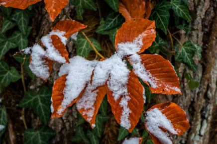 Božica Jelušić: PRAZNJIKAV&nbsp;TRENUTAK