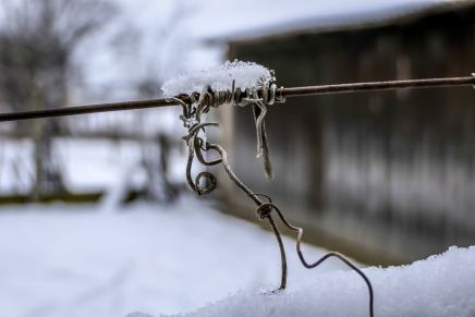 Božica Jelušić: MJESEČEVA SONATA, u mračno&nbsp;doba
