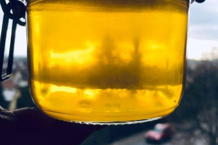 Alan Meniga: O MASLU, PSU I FRANCUSKOJ&nbsp;KUHINJI