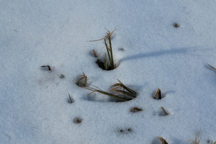 Božica Jelušić: FRAGMENT O ZEČJEM&nbsp;SRCU