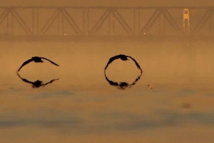 LASLO VEGEL: Grmi, seva, al’ oluje&nbsp;nema