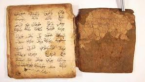 Jasna Šamić: Još nešto o&nbsp;jeziku