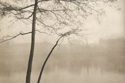 MARCOS ANA: RECITE MI KAKO IZGLEDA&nbsp;DRVO