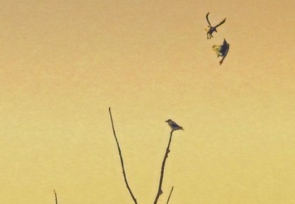 Zdenka Maltar: Roke mi&nbsp;zgrej