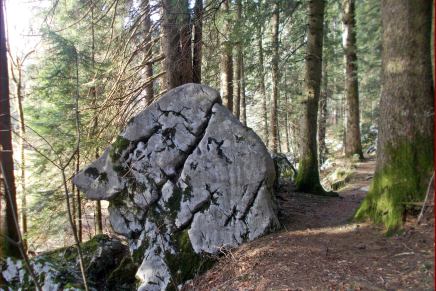 Božica Jelušić: SAMOPIS&nbsp;ŠUMSKI