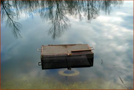 Božica Jelušić: FRAGMENT O&nbsp;POSTOJANJU