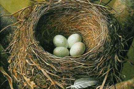 Mirna Weber: Svjetovi i&nbsp;posvojenja