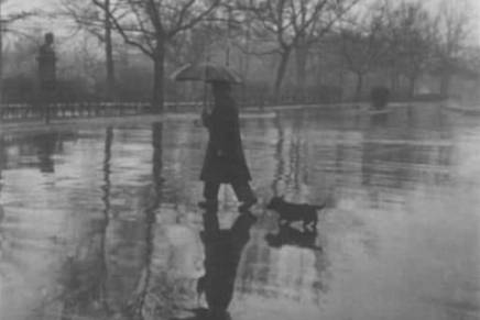 Božica Jelušić: MIMIKRIJA U&nbsp;KIŠI