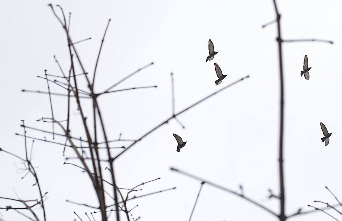 109739265_10221986831356075_3342591468275817161_o