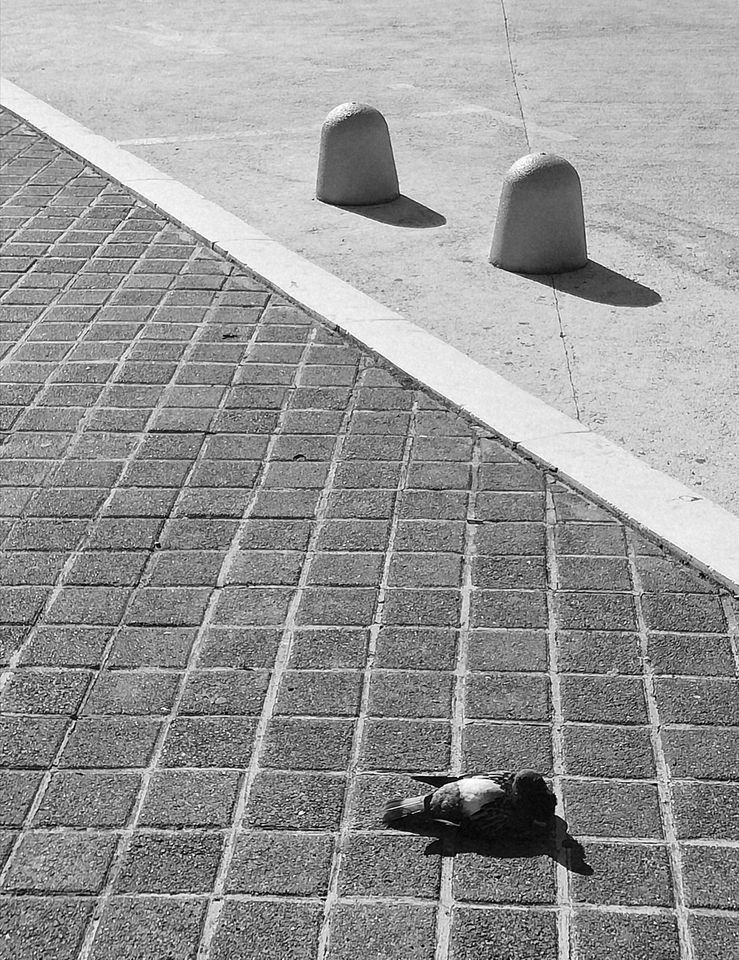 118508457_10222321206035233_5301119565382490836_o