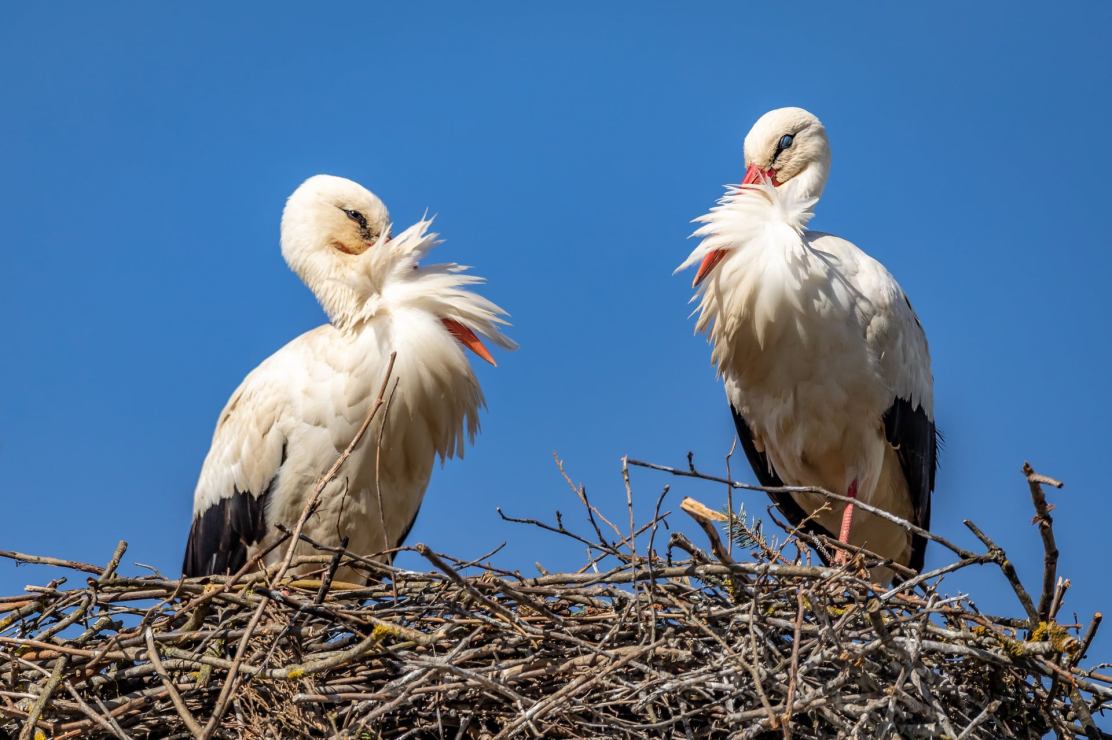 172571707_10215963952650346_6993132329033391536_n