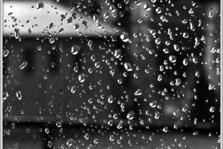 Blanka Will: Travanjska&nbsp;kiša