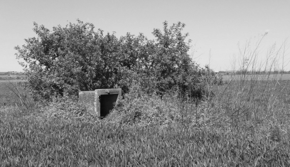 177360722_1996308260533145_3390502803292469543_n