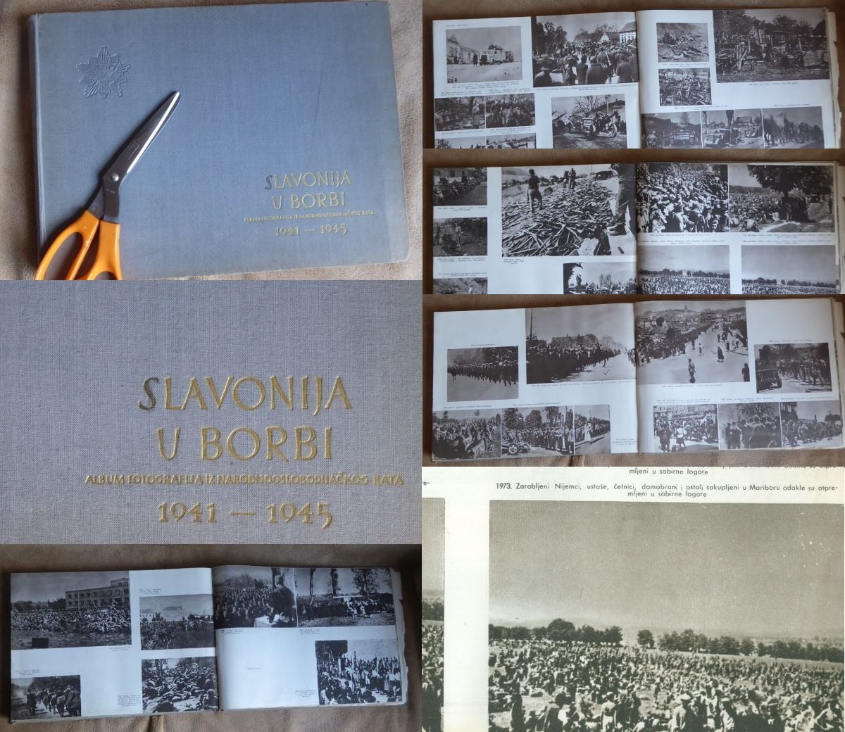 179130556_10222204478454177_4944415825673791918_n