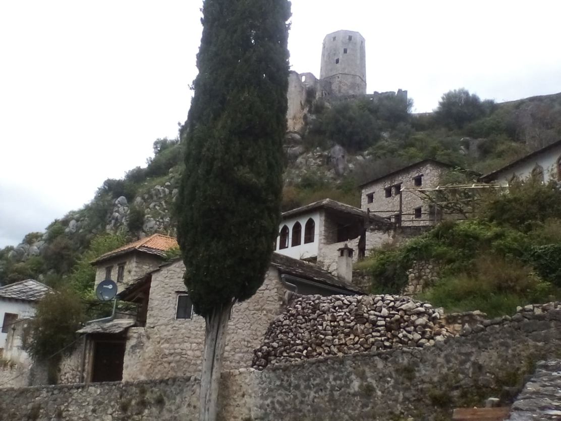 181602340_10220129938342533_5294243112984620858_n