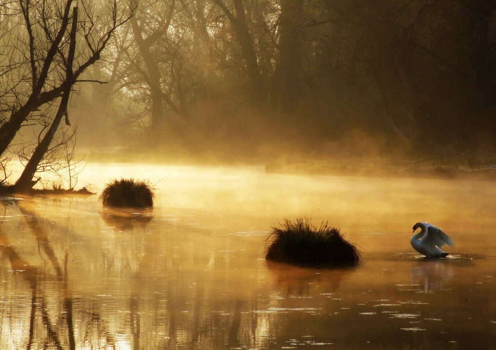 1. SAVICA, Ognjen Karabegović[4546]