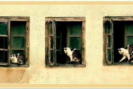 Zdenka Maltar: ŽULENJE&nbsp;TOLGE