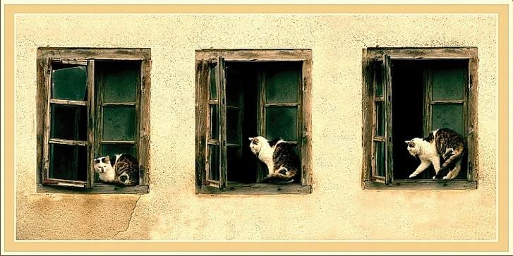 196249592_1471627079902344_4918365824090168104_n