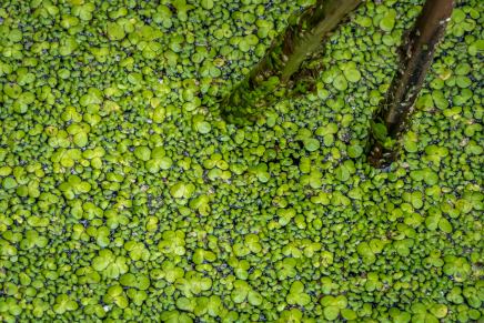 Božica Jelušić: SVJETOVI