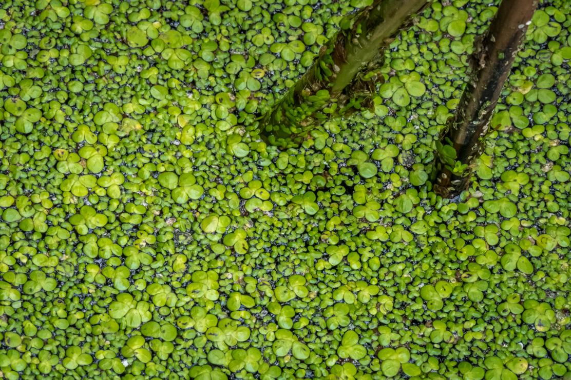 196548433_10216255022166902_1398143356132952814_n