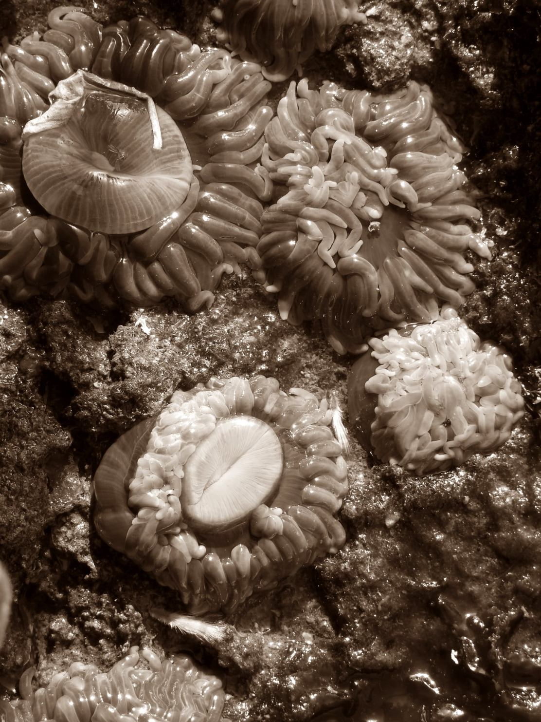 200442515_10216298346849992_4247035726008903189_n