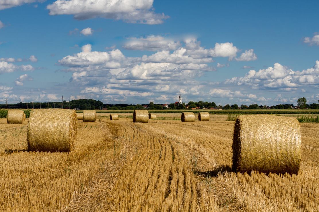 205141398_10216336870933070_60941559118726825_n