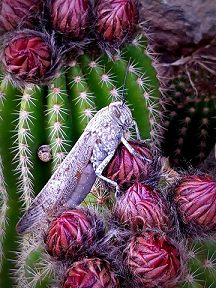 3. Bez naziva, Jasenka Bosnić[4547]