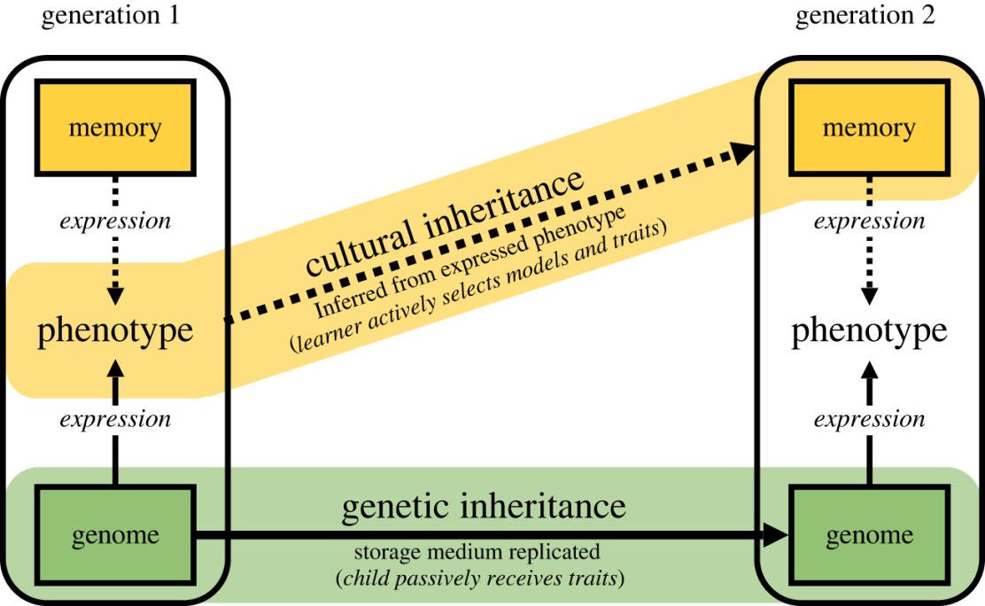 kulturna-evolucija-Royal-Society