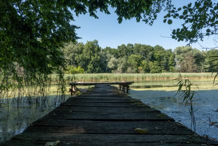 Božica Jelušić: Križnica na Staroj&nbsp;Dravi