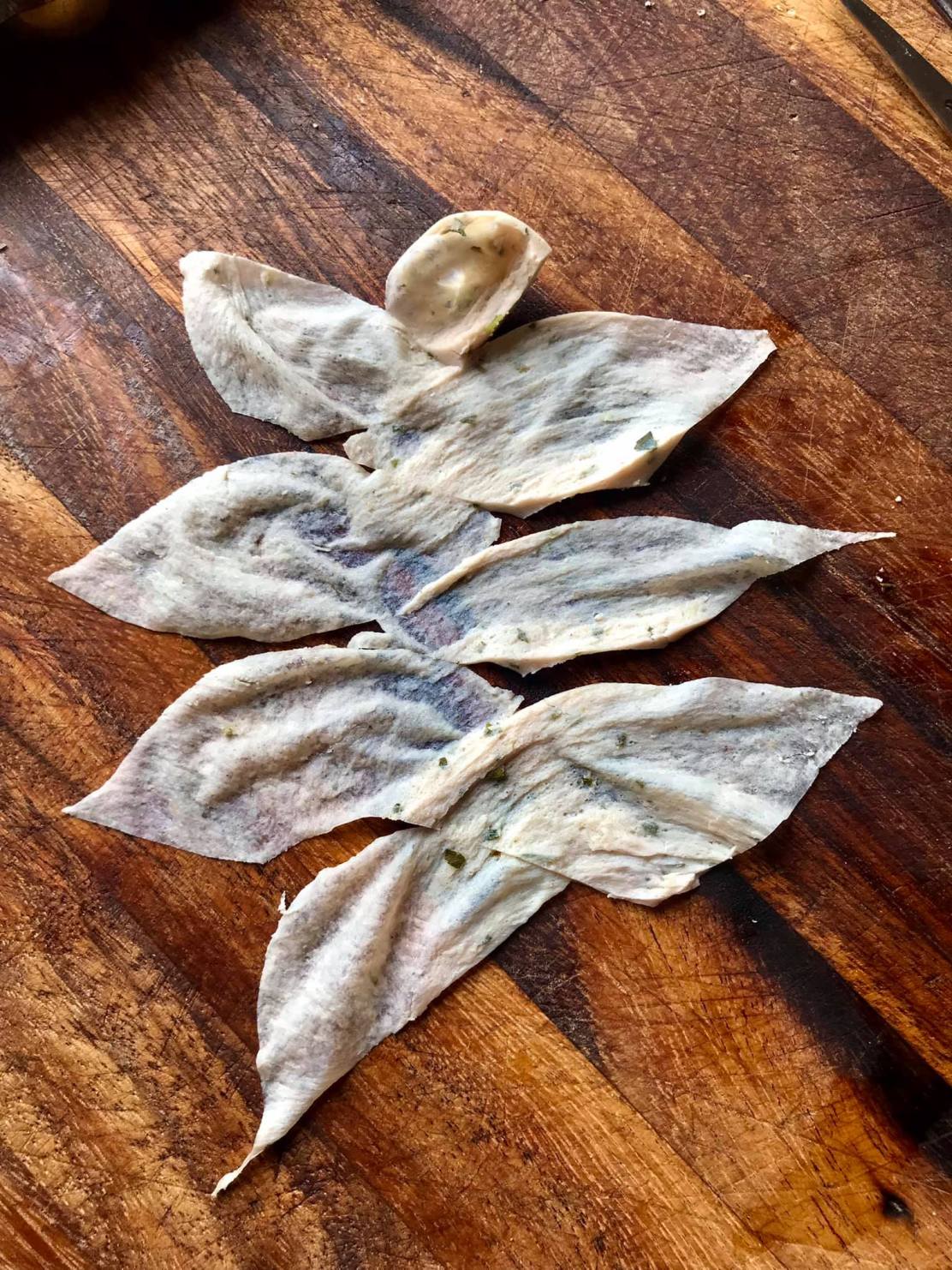 240791302_4208700772584213_3951849212172708763_n