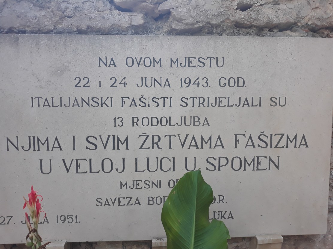 240576021_812992152726305_5658916245660776680_n