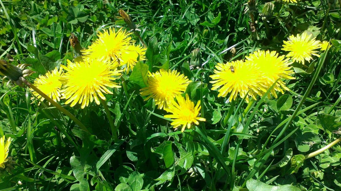 242155501_10224873202319444_7183840102930142081_n