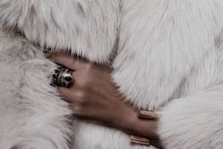 Irena Šekez Sestrić: Nekoliko generalija o&nbsp;krznu