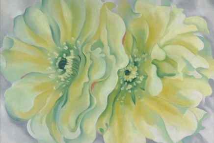 Božica Jelušić: NEDOSTAJANJE